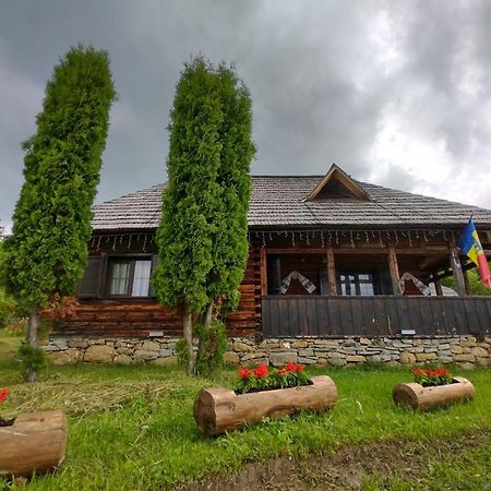 Villa Casuta Lu' Liviu à Borşa Extérieur photo