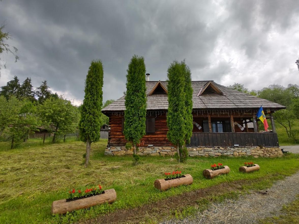 Villa Casuta Lu' Liviu à Borşa Extérieur photo