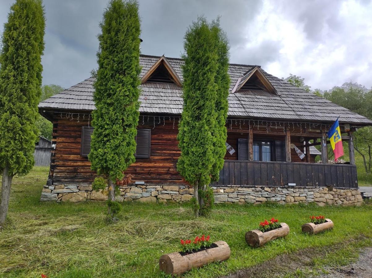 Villa Casuta Lu' Liviu à Borşa Extérieur photo